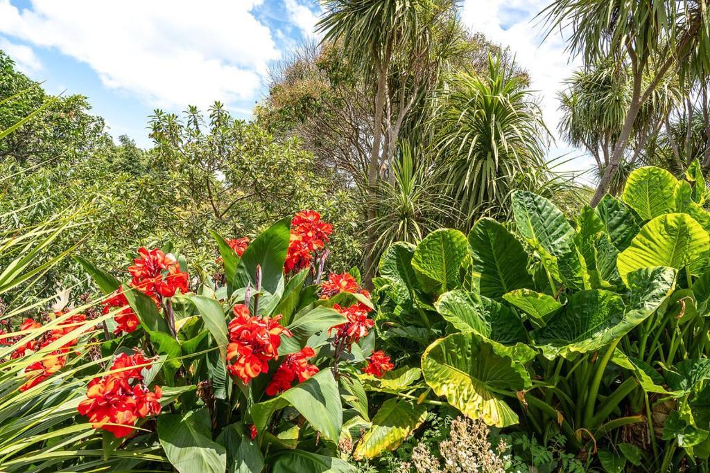 Oneroa Bay Villa Waiheke Bagian luar foto