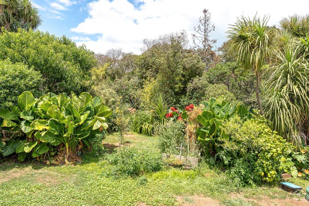 Oneroa Bay Villa Waiheke Bagian luar foto
