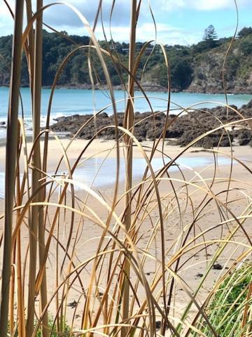 Oneroa Bay Villa Waiheke Bagian luar foto
