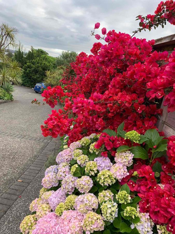 Oneroa Bay Villa Waiheke Bagian luar foto